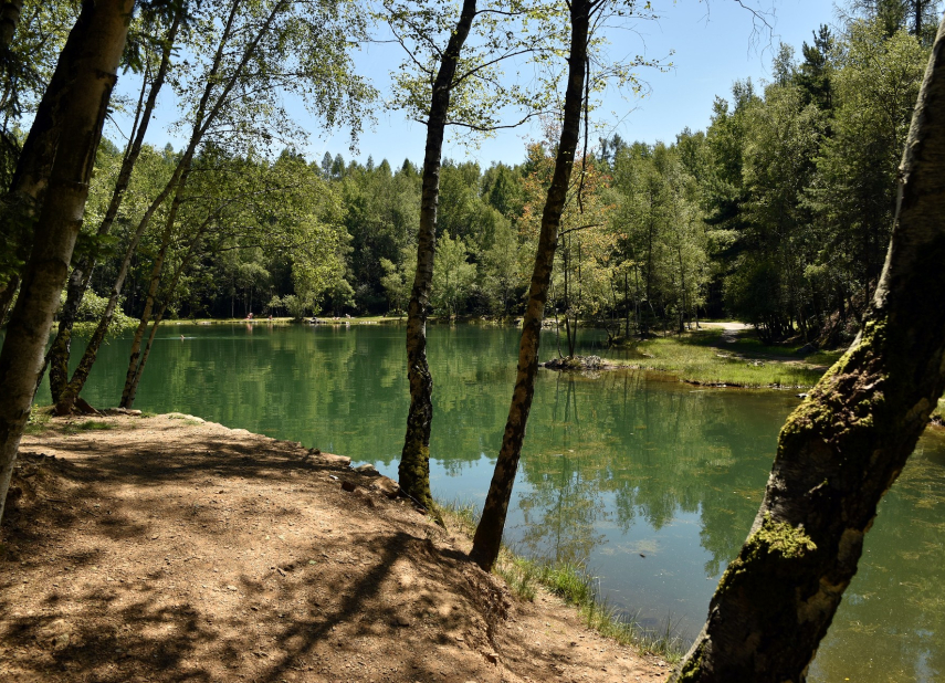 Wellness a klid uprostřed lesů s příchutí starých časů