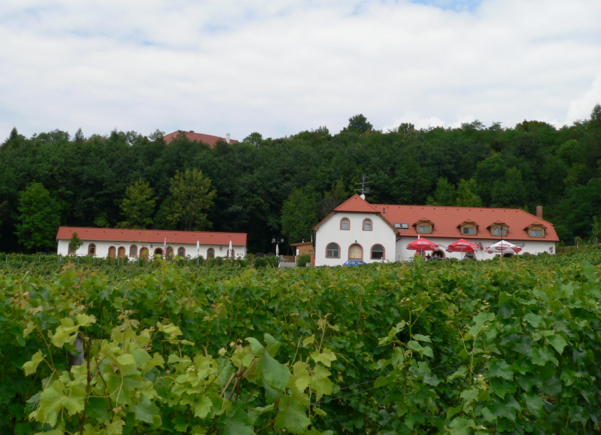 Naučná vinařská stezka Sádek