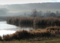 Přírodní park Bohdalovsko