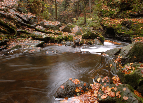 Nature trail through the Doubrava valley