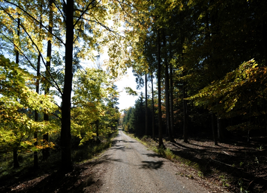 Přírodní park Čeřínek