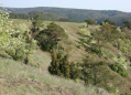 Nature trail Mohelenská hadcová step (Mohelno serpentine steppe)