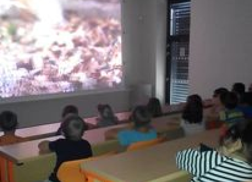 Přírodovědné centrum a planetárium –⁠ Havlíčkův Brod