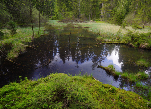 Ranská jezírka