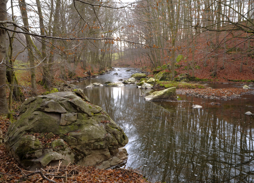 Přírodní park Doubrava