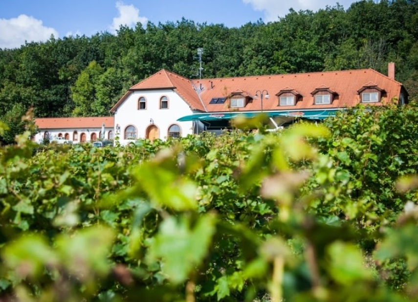 HOTEL SÁDEK