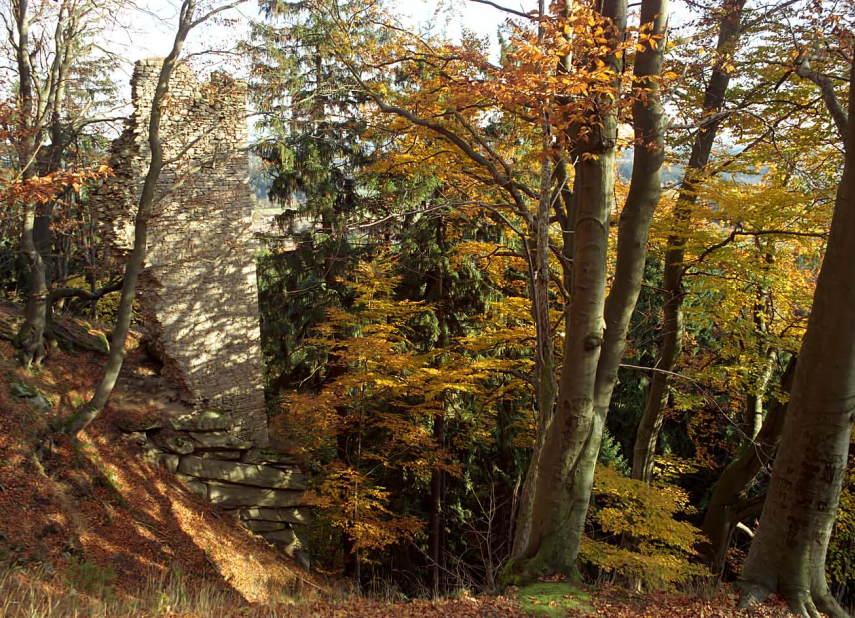 Geoparkem Vysočina se psem