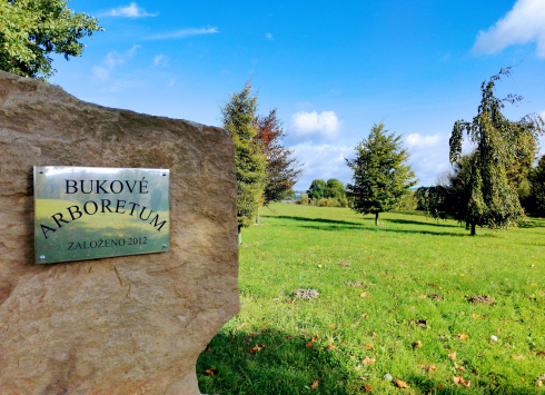 Bukové arboretum