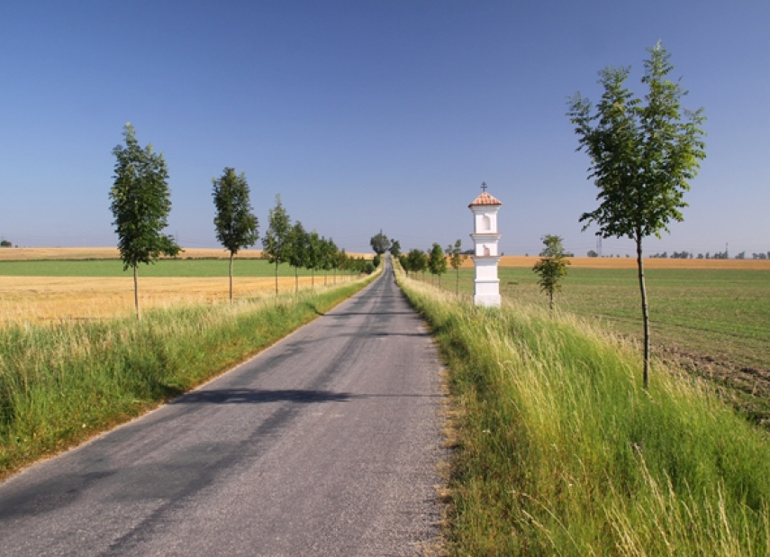 A BIKE RIDE FROM TŘEBÍČ THROUGH A VIEWPOINT TO THE VINEYARDS AND BACK