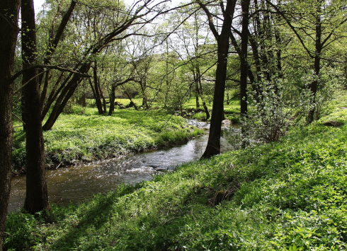 Přírodní park Balinské údolí